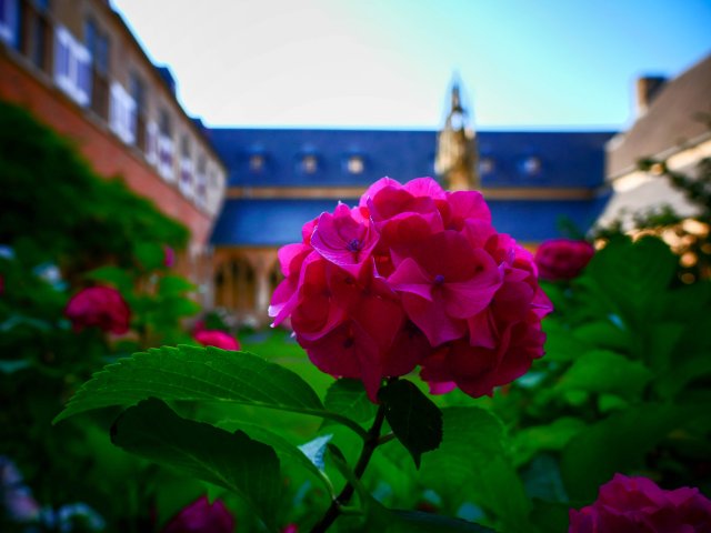 Architektur2