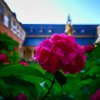 Architektur2
