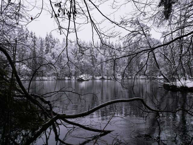 Badersee14