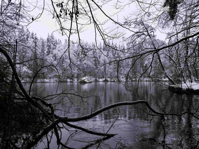 Badersee7
