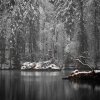 Badersee