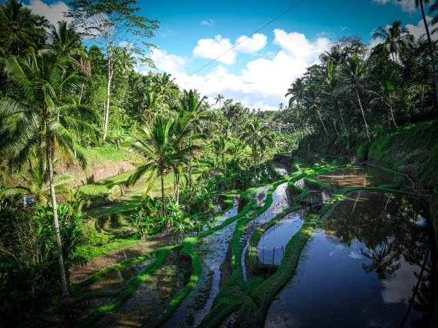 Bali14