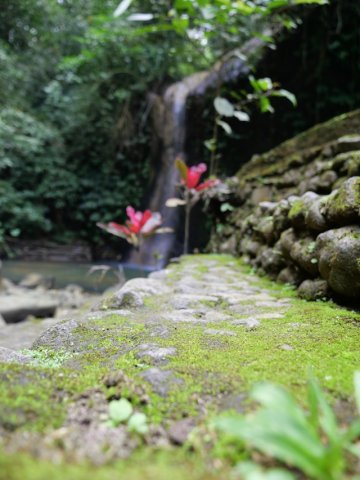 Bali3