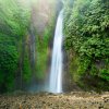 Bali9