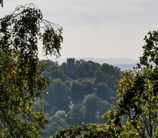 Coburg15