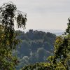 Coburg15