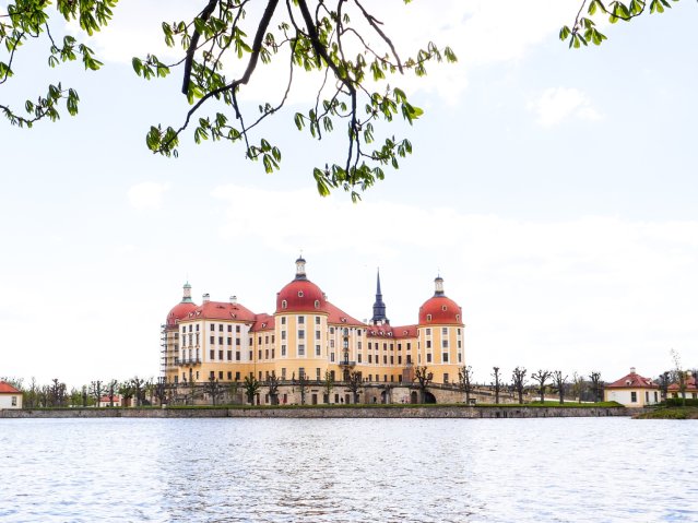 Dresden10