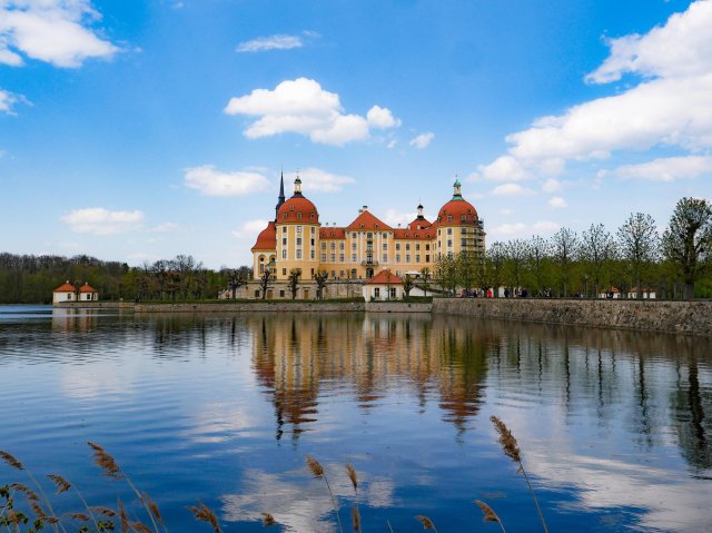 Dresden11