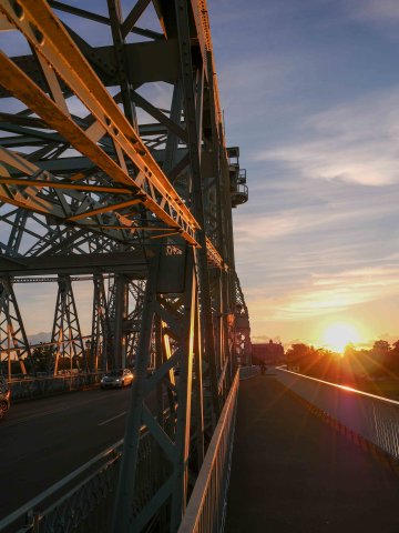 Dresden6