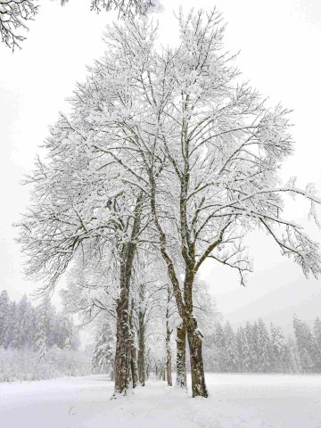 Eibsee14