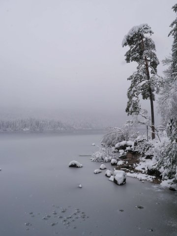 Eibsee17