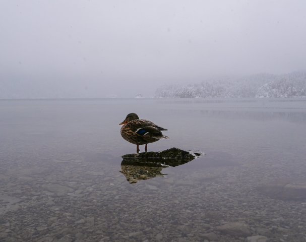 Eibsee32