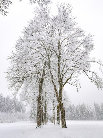 Eibsee35