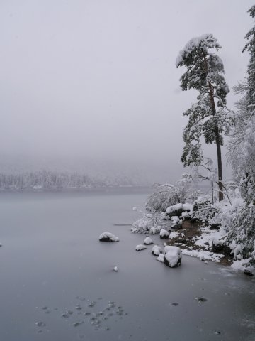 Eibsee38