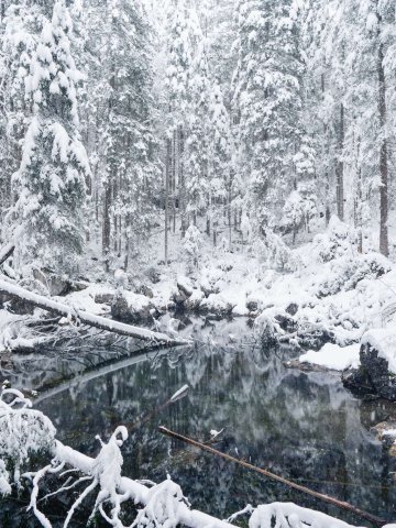 Eibsee42