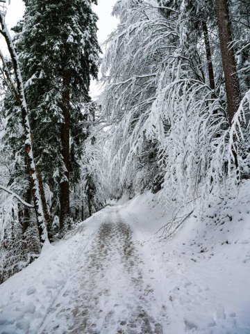 Eibsee46