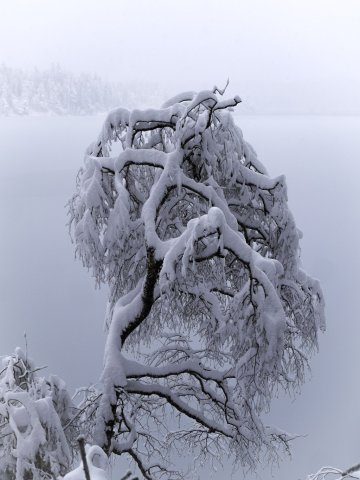 Eibsee47