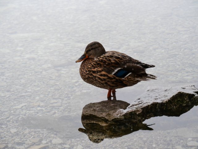 Eibsee52