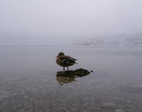 Eibsee53