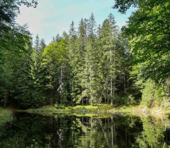 Eibsee8