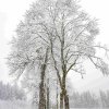 Eibsee14