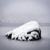 Eibsee19