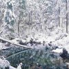 Eibsee21