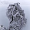 Eibsee26
