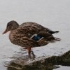 Eibsee30