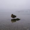 Eibsee32