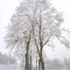 Eibsee35