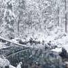 Eibsee42