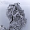 Eibsee47