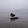 Eibsee53