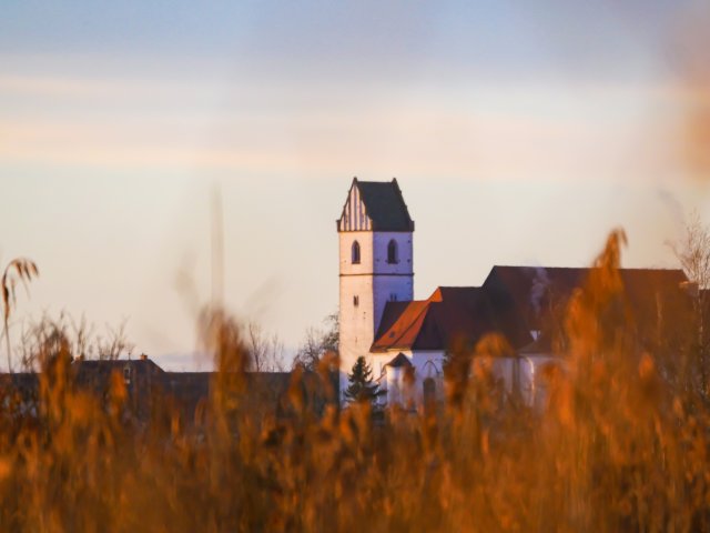 Federsee9