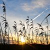 Federsee8