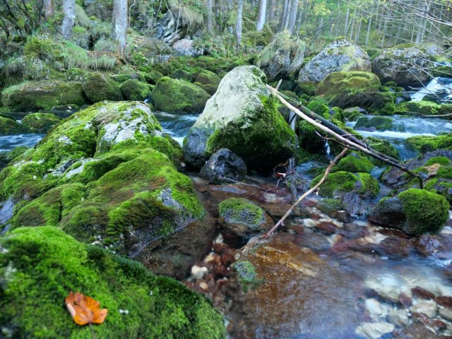 gollingerwasserfall1