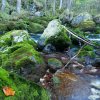 Gollinger Wasserfall