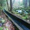 gollingerwasserfall4