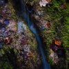Landscape4
