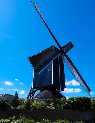Leiden1