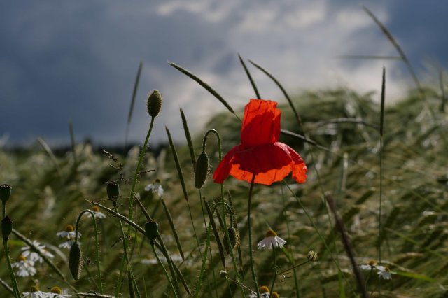 Natur3