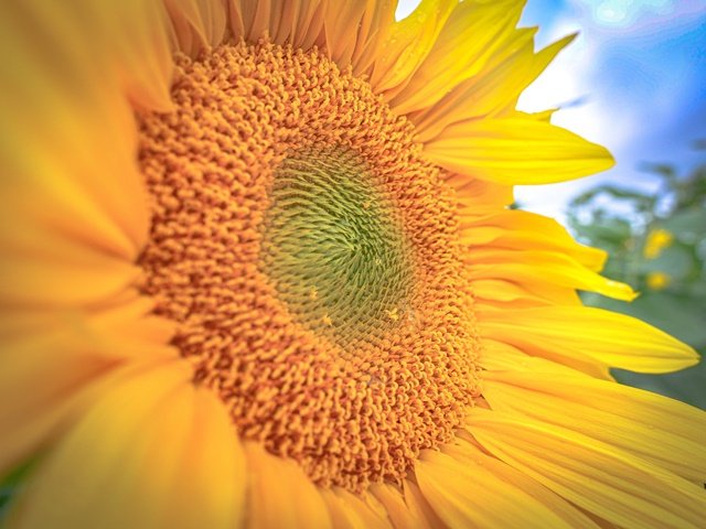 Natur6