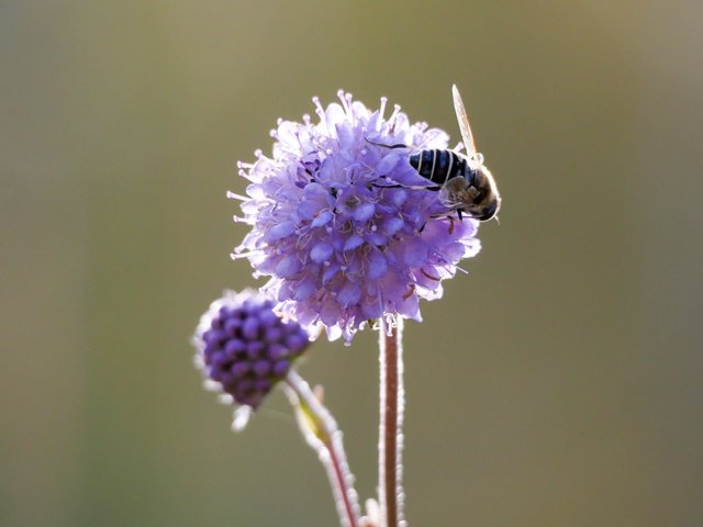 Natur8