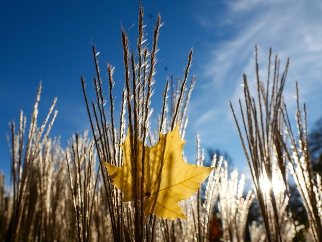 Natur9