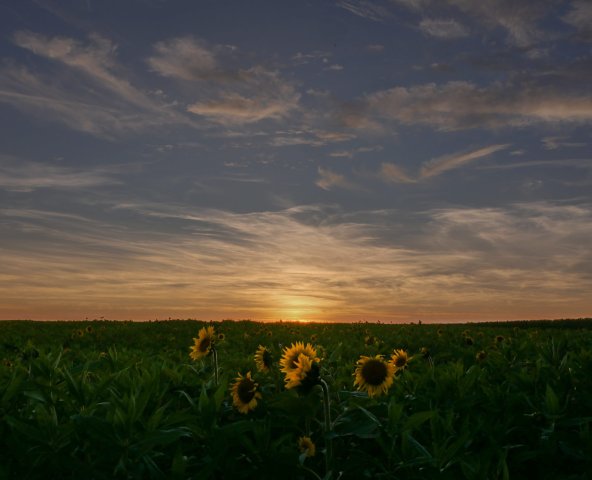 Natur12
