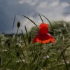 Natur3