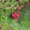 Natur4