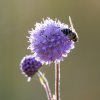 Natur8