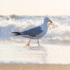 Noordwijk2